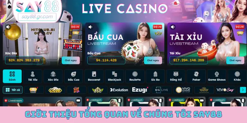 Giới thiệu tổng quan về chúng tôi SAY88