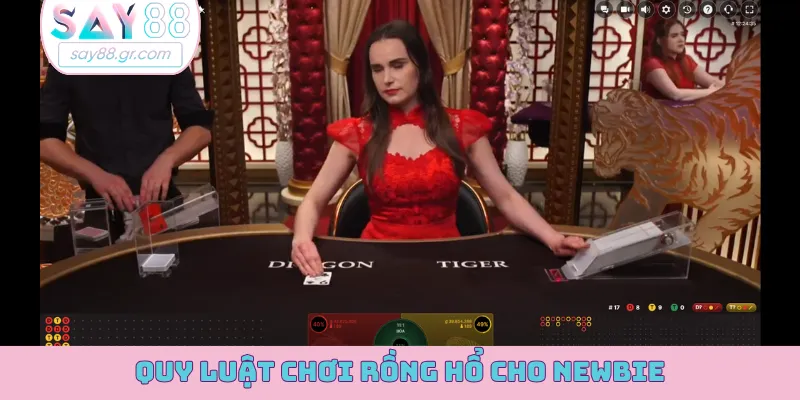 Quy luật chơi rồng hổ cho newbie