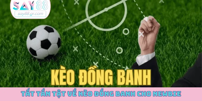 Tất tần tật về kèo đồng banh cho newbie